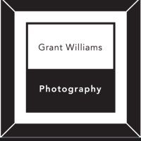 Grant Williams Photography(@GrantWilli80351) 's Twitter Profile Photo