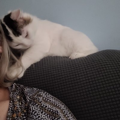Childless Cat Lady