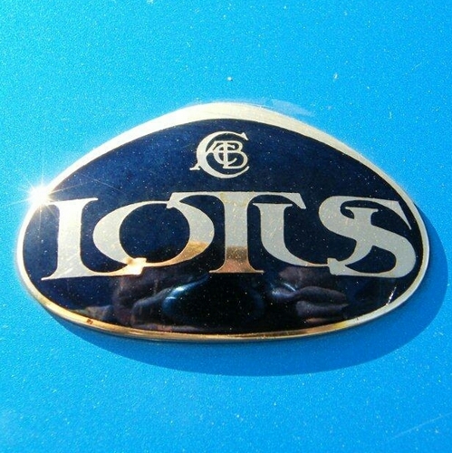 Lotus , biljarten, single, koken, wijn