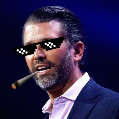 Donald Bump Jr. ™ Profile