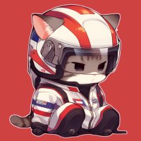 dev sleeping(@haripaws) 's Twitter Profile Photo