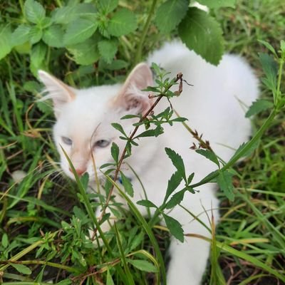 imtheproblem_ni's profile picture. 