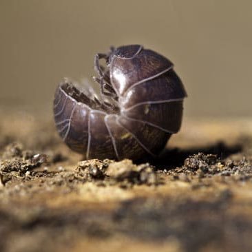 marcrow060's profile picture. 