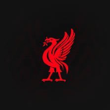 YNWA1995RED's profile picture. YNWA ⭐️ 🏆