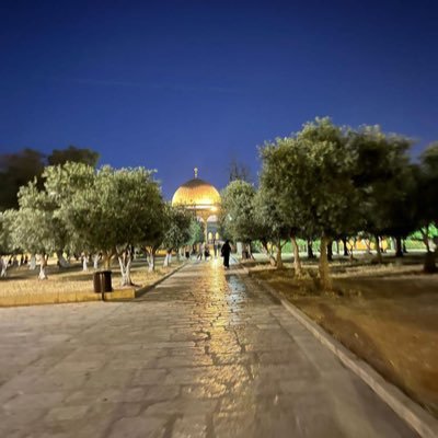 “Bilesiniz ki gönüller ancak Allah’ı zikrederek huzura kavuşur”@kuran.kursum da gönül işçiliği/TDV gönüllüsü/ MTO herkes bulunduğu yeri yeşertsin 🌻