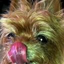 H. Wayne Hayden - @OldDocWayne - Twitter