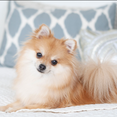 Zhou64Zhou's profile picture. 