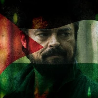 phantomdev78's profile picture. 