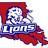 LALions's profile image