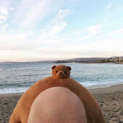 dxyEEnctyR31892's profile picture. 