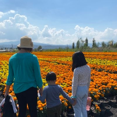 lyzazulgt's profile picture. 