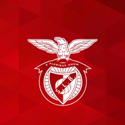 Official Account of Sport London e Benfica Women's Team

Affiliated to @SLBenficaFC 🦅🔴