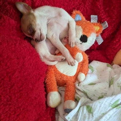 LindaDelgadil14's profile picture. 