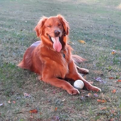 cma107's profile picture. 🇺🇸 ☕️