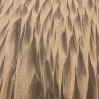 Scott (@ott663ott) 's Twitter Profile