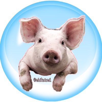 whitesow1 Profile Picture