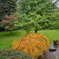 M (@mrmanps) 's Twitter Profile Photo