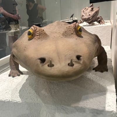 VirginChim's profile picture. 