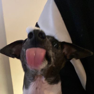A_rang_I's profile picture. 🕯️🕯️🕯️🕯️🕯️🕯️🕯️