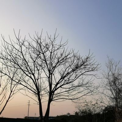 xichn63171983's profile picture. 