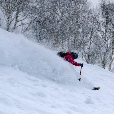 雪山＆ハイマツの山