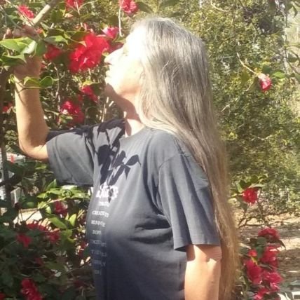 Angela Linder Profile