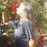 Angela Linder (@angelalinder3) 's Twitter Profile