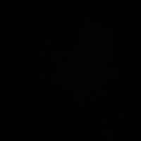 🍀 (@7prxncess) 's Twitter Profile