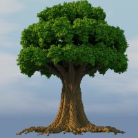 OakTwinTrees (@oaktwintrees) 's Twitter Profile Photo OakTwinTrees (@oaktwintrees) 's Twitter Profile Photo