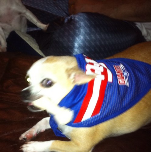 joehawkster's profile picture. 