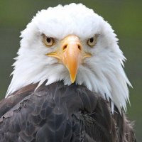 Robert (@rob4msurobert) 's Twitter Profile