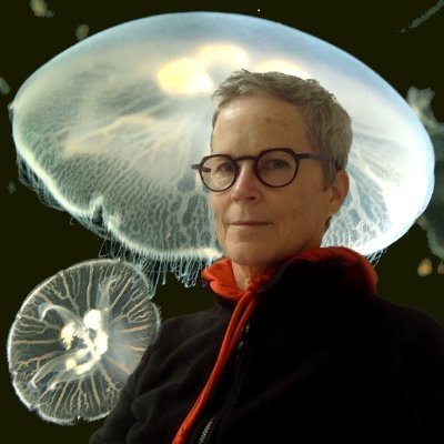 Sue Reid Profile