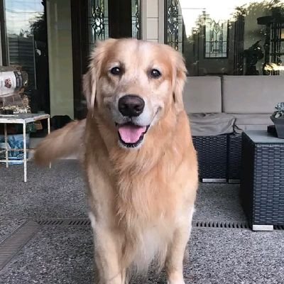 CarolynnLe61119's profile picture. 