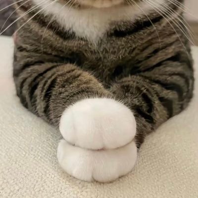 goggle1809's profile picture. 프론트엔드 개발자..!? 지만 대부분 잡담만 합니다.