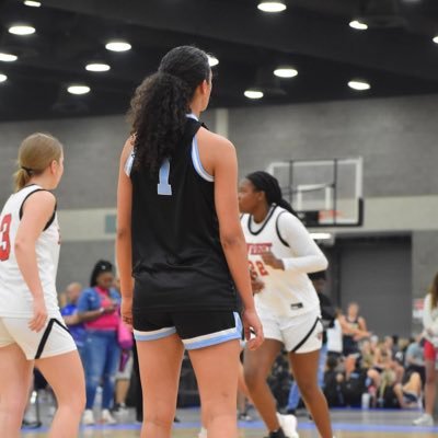 MI Mystics NE2K 2025|Flushing HS Basketball