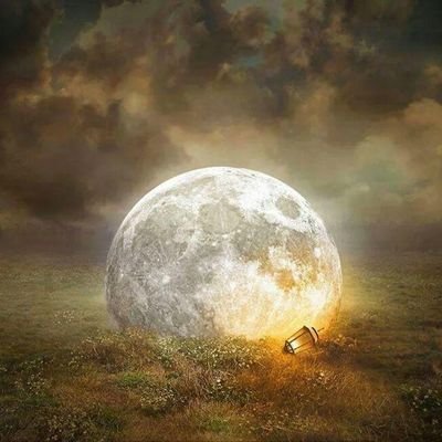 wicked__zeze's profile picture. 042 ENFJ MaleTop