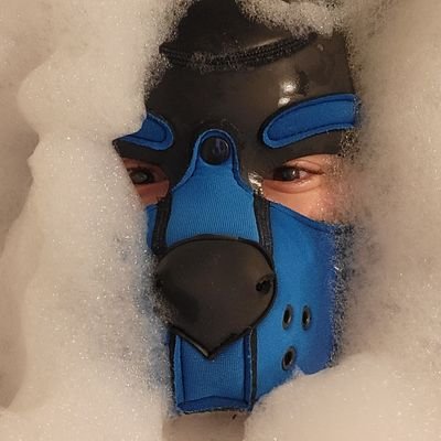 Just a kink friendly sub pup tryna sniff out trouble. Feel free to say hi!!! Bdsm, leather, abdl, pupplay...and anything nerdy! 21 years old collared.