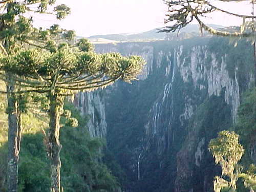 Twitter oficial dos Parques Nacionais de Aparados da Serra e da Serra Geral/ICMBio. Localizados em Cambará do Sul/RS, Praia Grande e Jacinto Machado/SC.