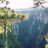 PNAS_PNSG's profile image