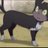 Mush1388's profile image
