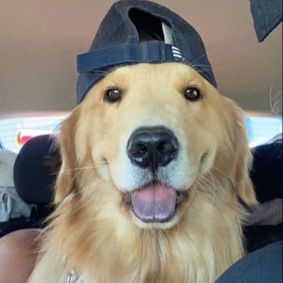 kajak_'s profile picture. 🏳️‍🌈