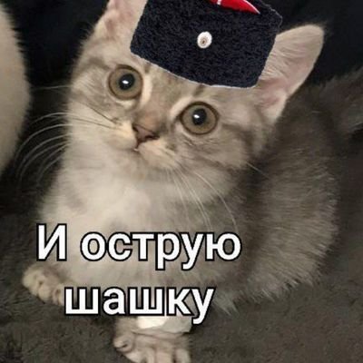 - А не бахнуть ли нам советской истории?
- А давайте!
5536 9140 5728 9294
Номер карты исчезнет в тот же день как я найду наконец работу, господи помоги