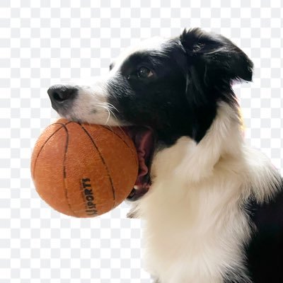 メさんのプロフィール画像