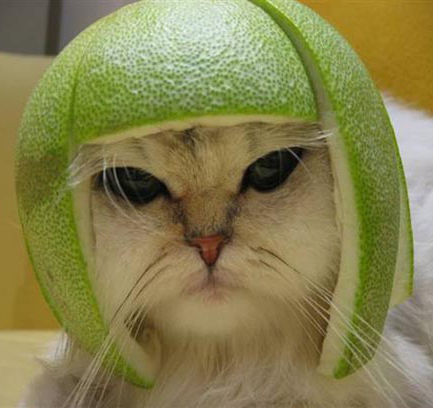 markborland's profile picture. Big fan of ED Smith brand ketchup.