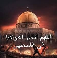 seko200522's profile picture. 