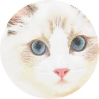 ᴋᴏᴍᴀ (@ragk0ma3) 's Twitter Profile