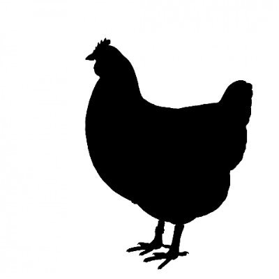 BlackChickenUK Profile Picture