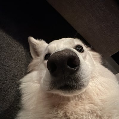 RKP57721208's profile picture. 200X