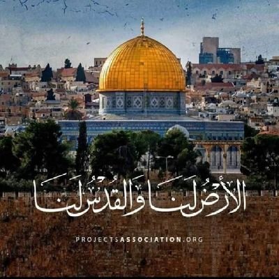 MostafaAlbob's profile picture. 