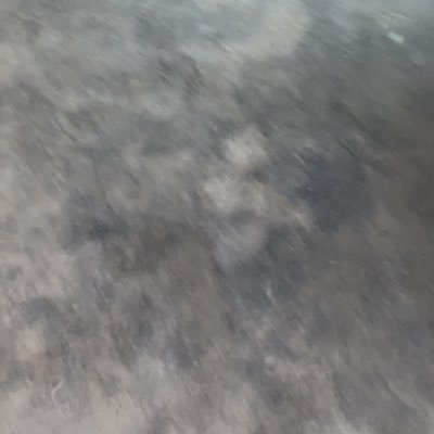 ruanjinxingpipi's profile picture. Rất thiện chí